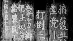 王吉舟：革命经济学【音频】-duli.today