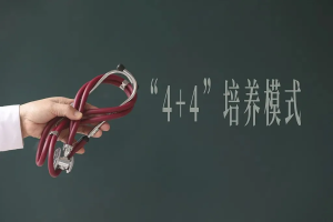 王吉舟：董小姐给中国人撕开世家圈的一角【音频】-duli.today