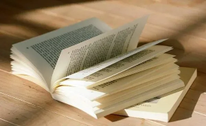 一诺对话秦晖：天凉好读书【音频】-duli.today