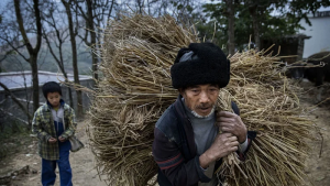 秦晖：农民问题的历史与现实【音频】-duli.today